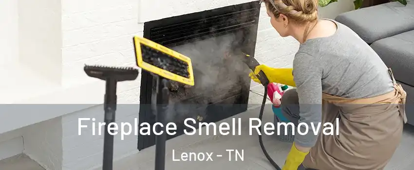 Fireplace Smell Removal Lenox - TN