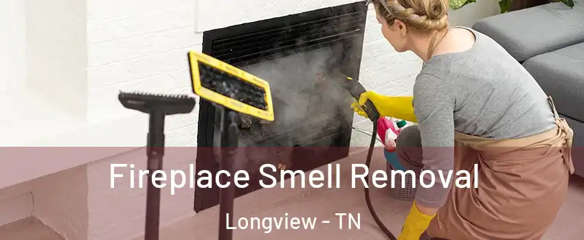 Fireplace Smell Removal Longview - TN