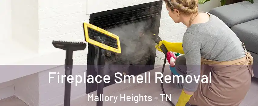 Fireplace Smell Removal Mallory Heights - TN