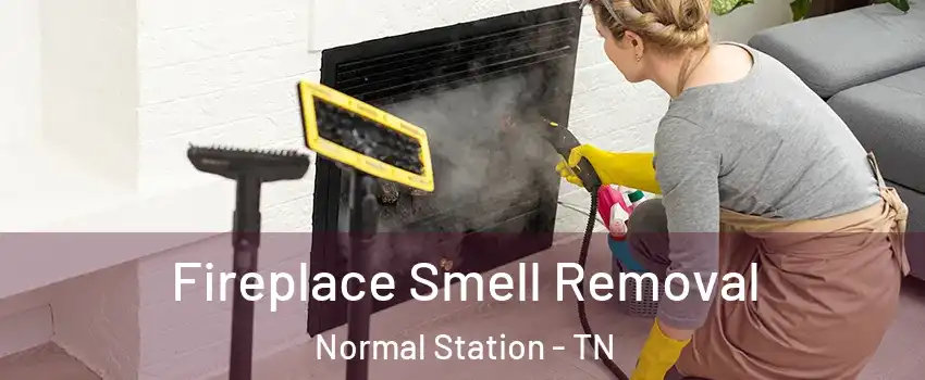 Fireplace Smell Removal Normal Station - TN