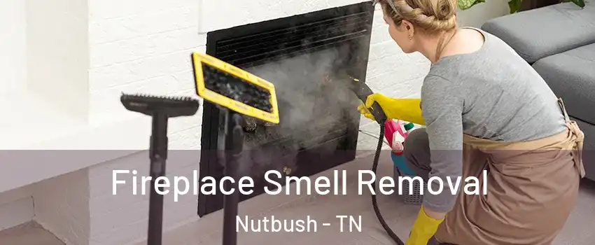 Fireplace Smell Removal Nutbush - TN