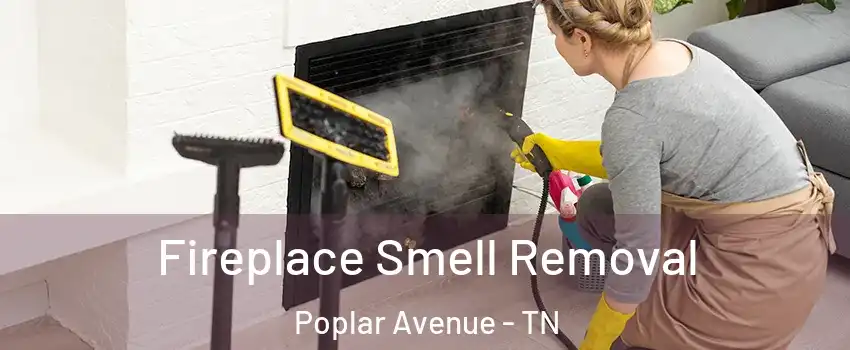 Fireplace Smell Removal Poplar Avenue - TN