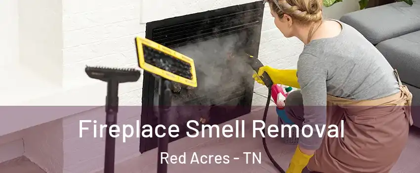 Fireplace Smell Removal Red Acres - TN