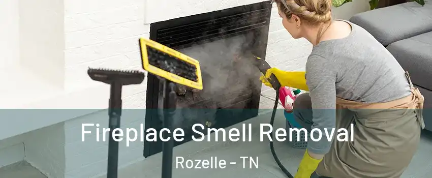 Fireplace Smell Removal Rozelle - TN