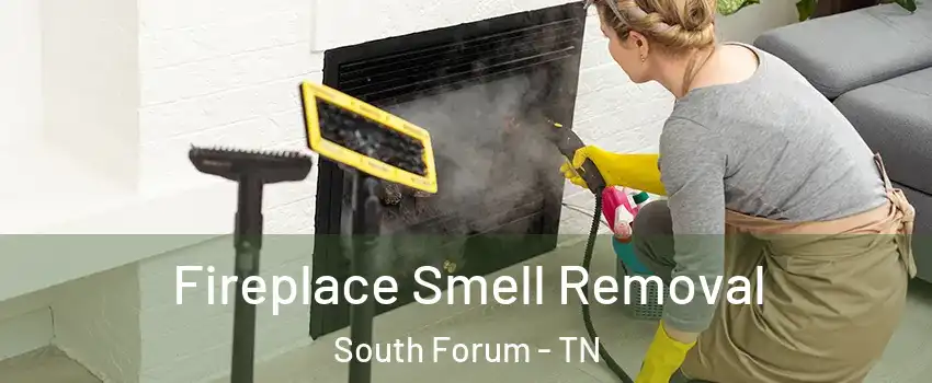 Fireplace Smell Removal South Forum - TN