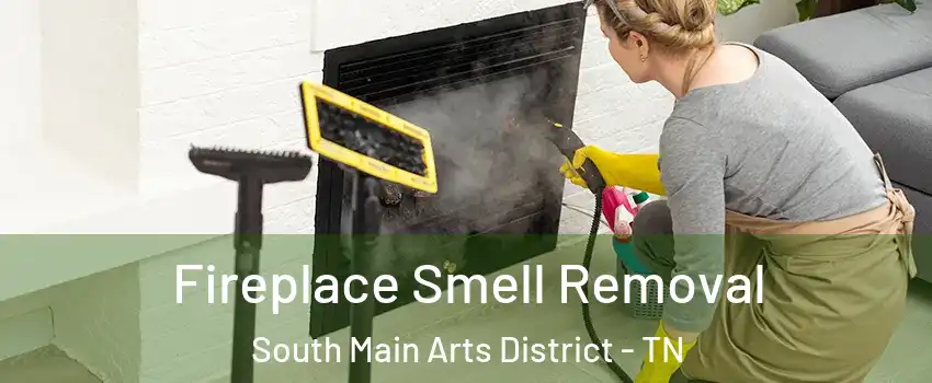 Fireplace Smell Removal South Main Arts District - TN