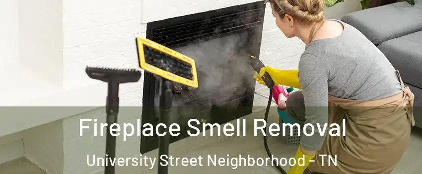 Fireplace Smell Removal University Street Neighborhood - TN