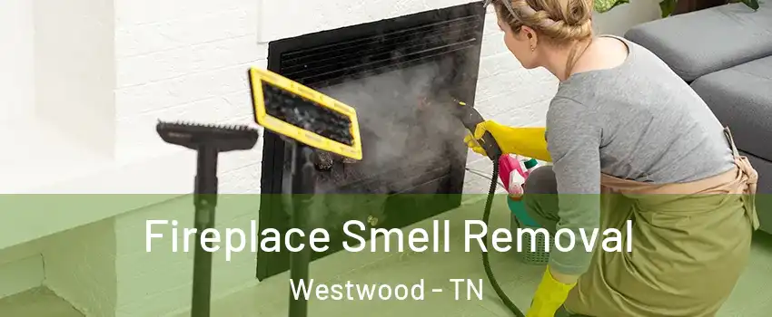 Fireplace Smell Removal Westwood - TN