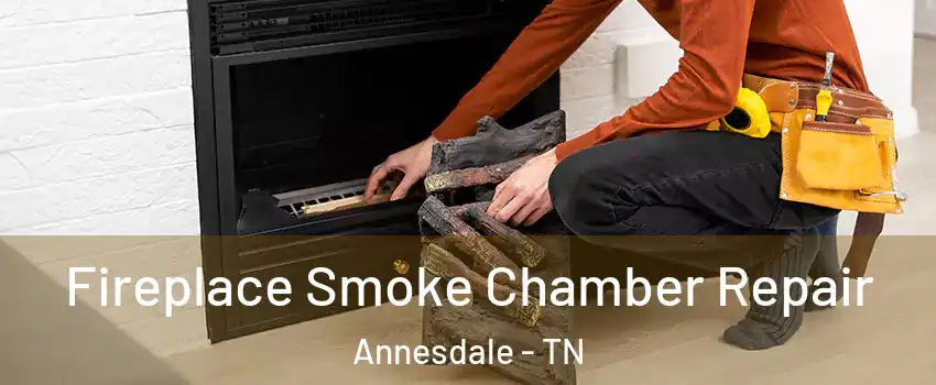 Fireplace Smoke Chamber Repair Annesdale - TN