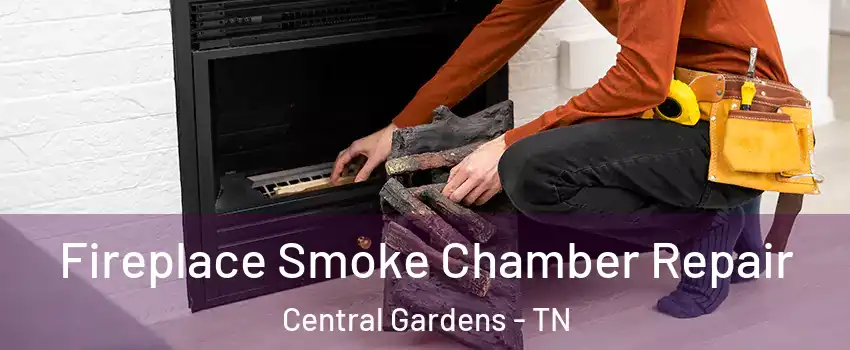 Fireplace Smoke Chamber Repair Central Gardens - TN