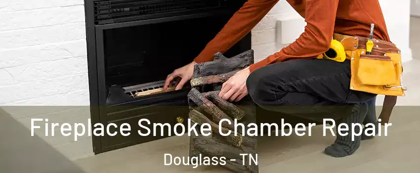 Fireplace Smoke Chamber Repair Douglass - TN