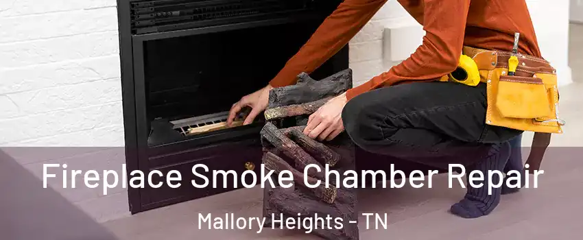 Fireplace Smoke Chamber Repair Mallory Heights - TN