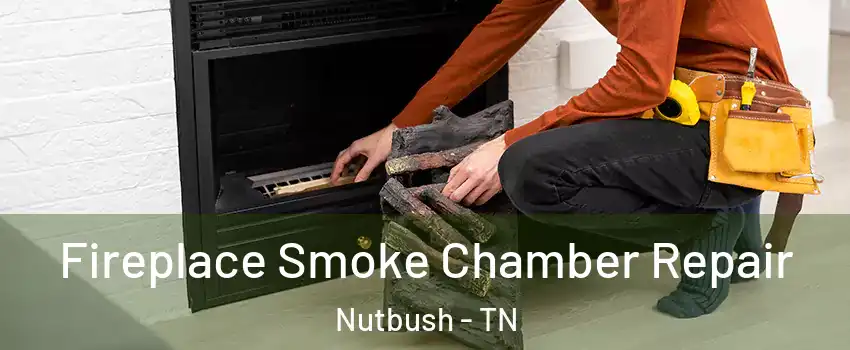 Fireplace Smoke Chamber Repair Nutbush - TN