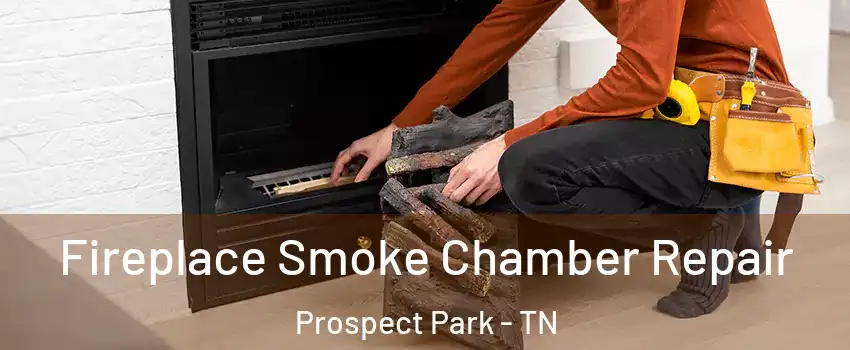 Fireplace Smoke Chamber Repair Prospect Park - TN