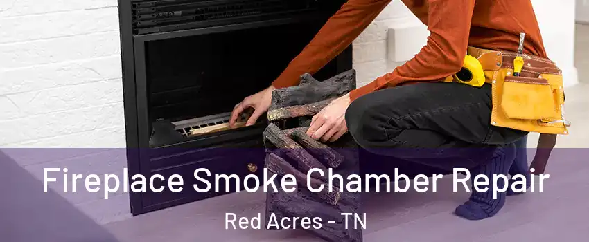 Fireplace Smoke Chamber Repair Red Acres - TN