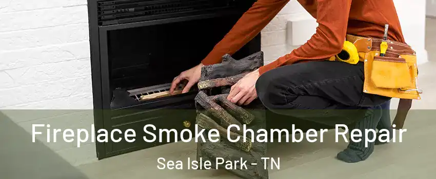 Fireplace Smoke Chamber Repair Sea Isle Park - TN