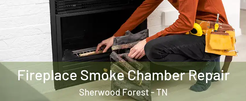 Fireplace Smoke Chamber Repair Sherwood Forest - TN