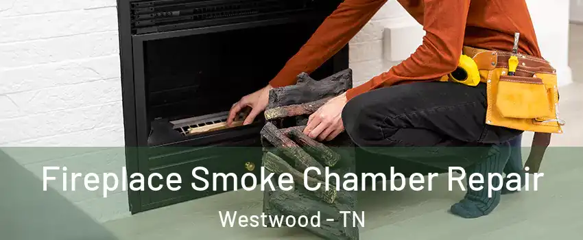 Fireplace Smoke Chamber Repair Westwood - TN