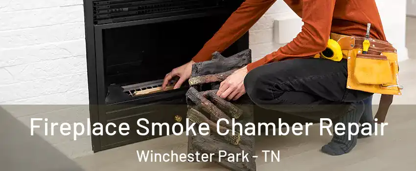 Fireplace Smoke Chamber Repair Winchester Park - TN