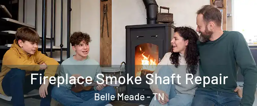 Fireplace Smoke Shaft Repair Belle Meade - TN