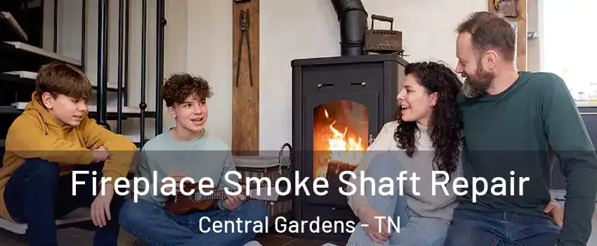 Fireplace Smoke Shaft Repair Central Gardens - TN