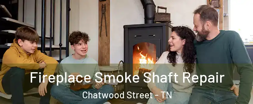 Fireplace Smoke Shaft Repair Chatwood Street - TN