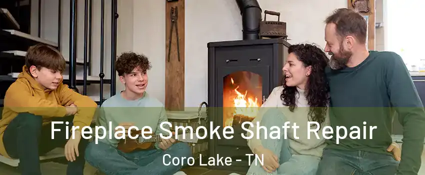 Fireplace Smoke Shaft Repair Coro Lake - TN