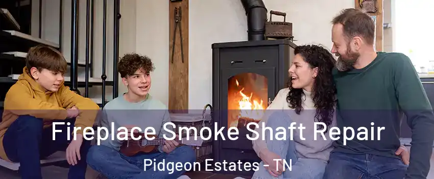 Fireplace Smoke Shaft Repair Pidgeon Estates - TN