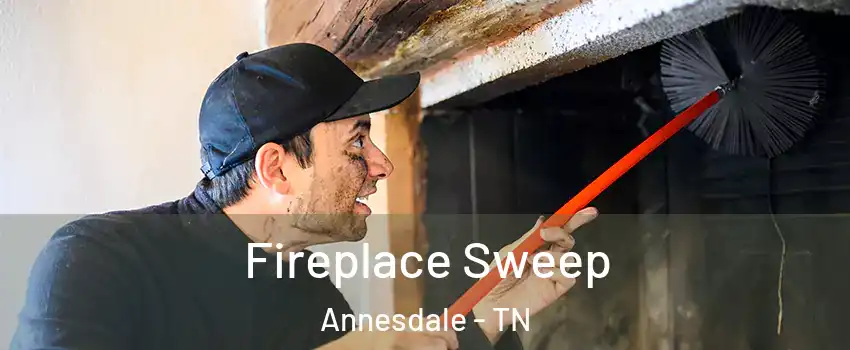 Fireplace Sweep Annesdale - TN