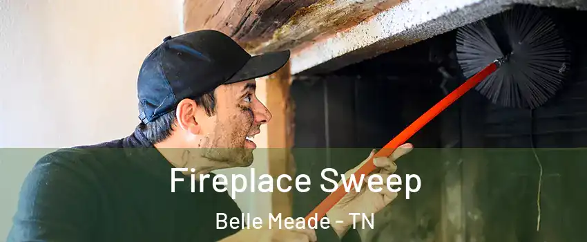 Fireplace Sweep Belle Meade - TN