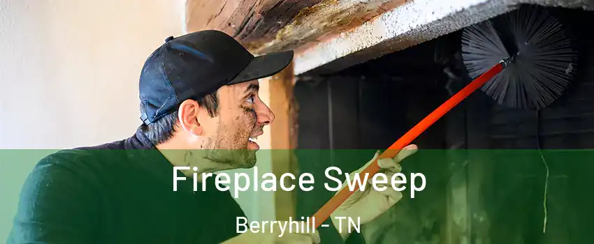 Fireplace Sweep Berryhill - TN