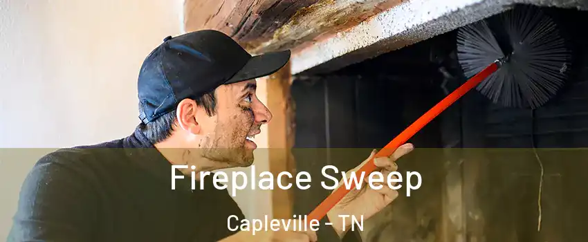 Fireplace Sweep Capleville - TN