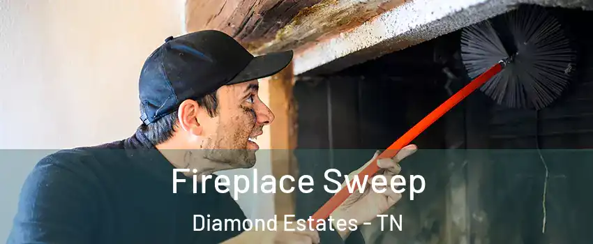 Fireplace Sweep Diamond Estates - TN