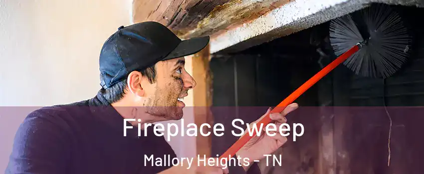 Fireplace Sweep Mallory Heights - TN