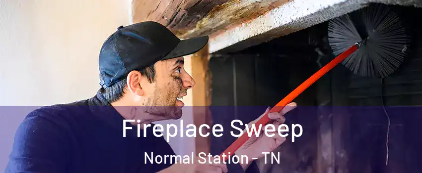 Fireplace Sweep Normal Station - TN