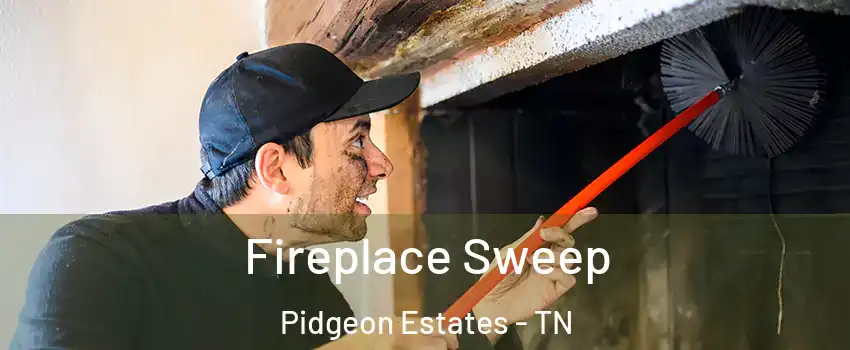 Fireplace Sweep Pidgeon Estates - TN