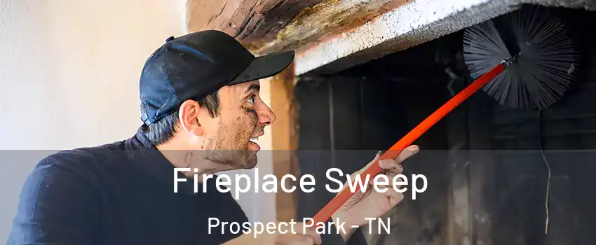 Fireplace Sweep Prospect Park - TN