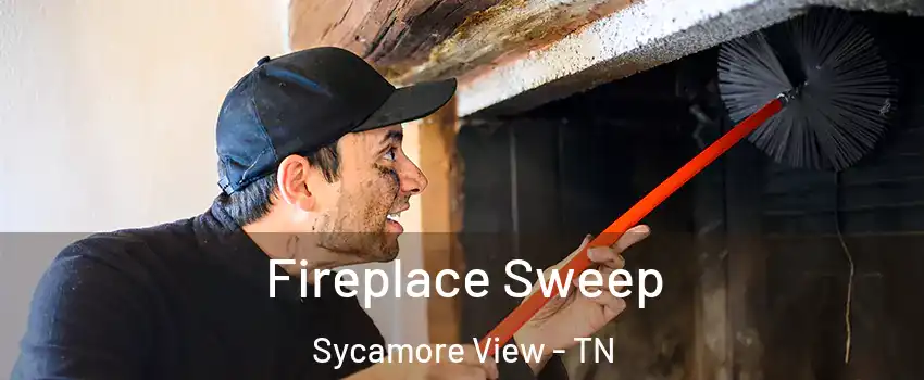 Fireplace Sweep Sycamore View - TN