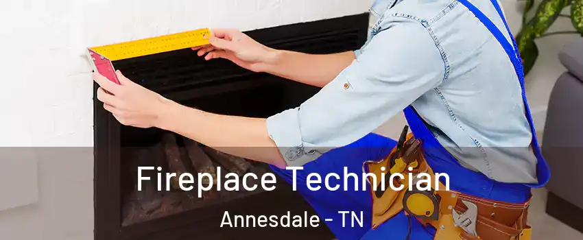 Fireplace Technician Annesdale - TN