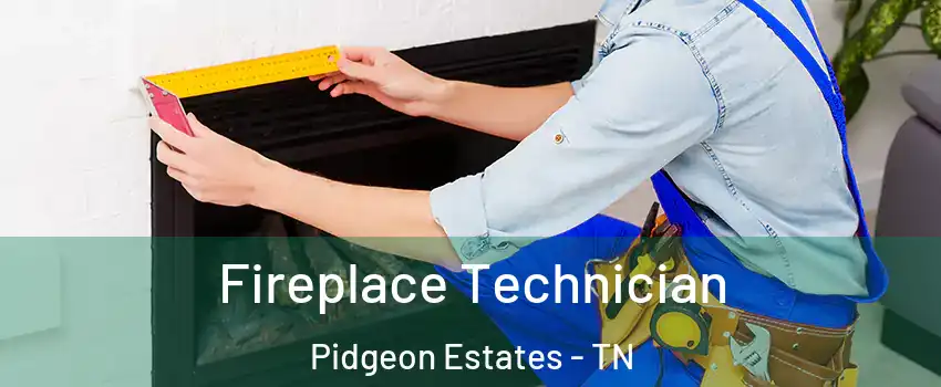 Fireplace Technician Pidgeon Estates - TN