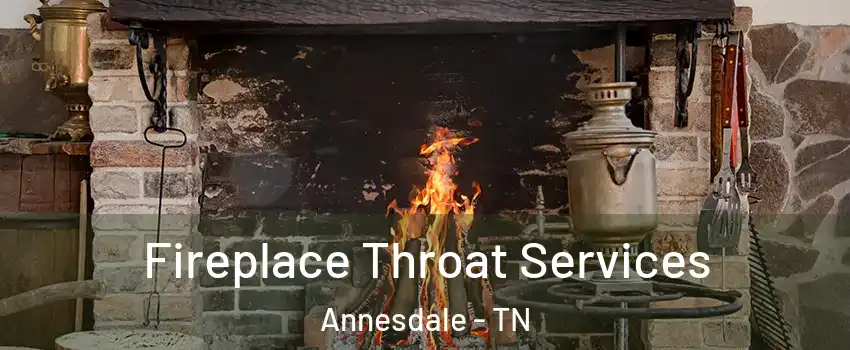 Fireplace Throat Services Annesdale - TN