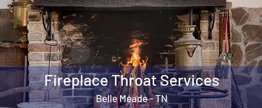 Fireplace Throat Services Belle Meade - TN