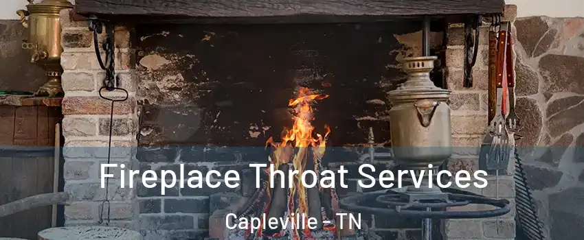 Fireplace Throat Services Capleville - TN