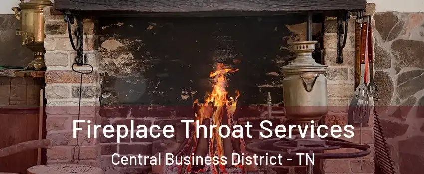 Fireplace Throat Services Central Business District - TN