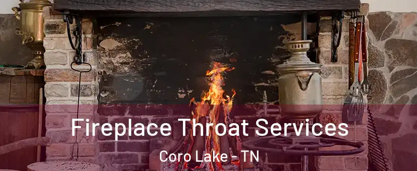 Fireplace Throat Services Coro Lake - TN