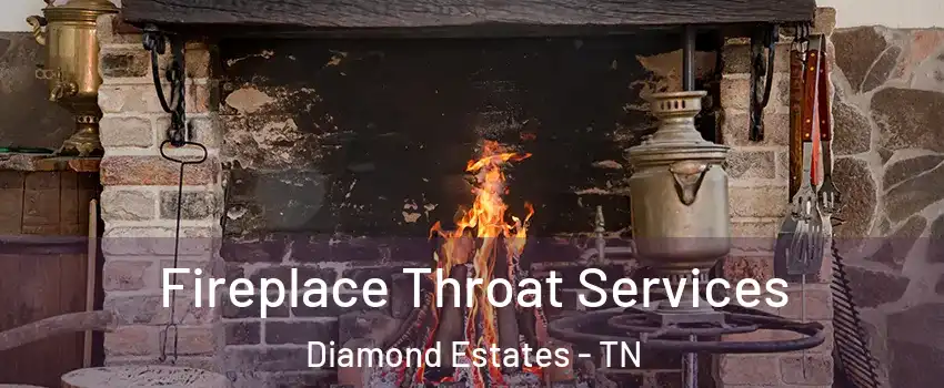 Fireplace Throat Services Diamond Estates - TN