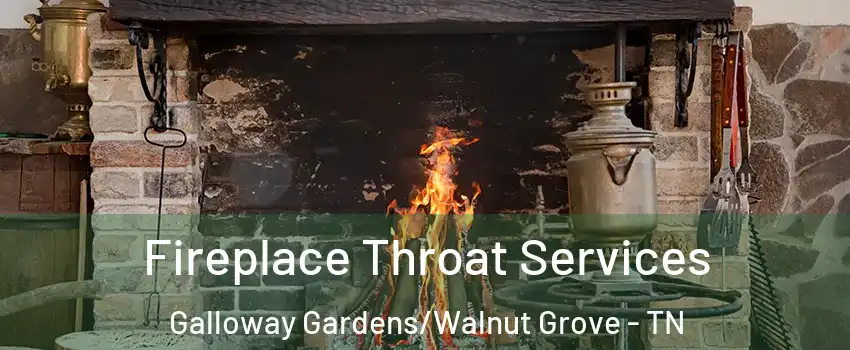 Fireplace Throat Services Galloway Gardens/Walnut Grove - TN