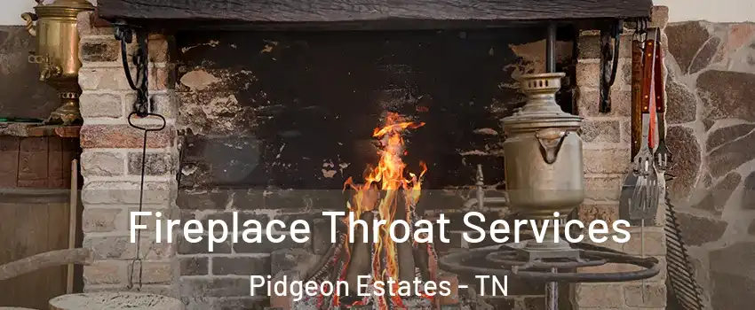 Fireplace Throat Services Pidgeon Estates - TN