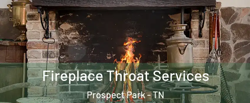 Fireplace Throat Services Prospect Park - TN