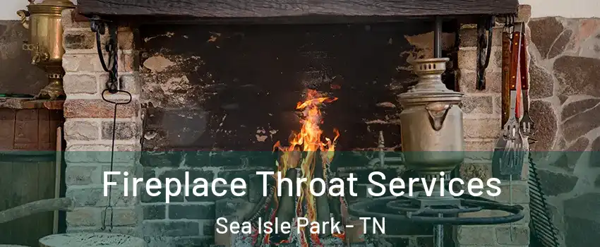 Fireplace Throat Services Sea Isle Park - TN